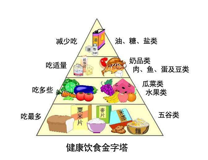 医用一区二区三区国产传媒麻豆的原理与结构 