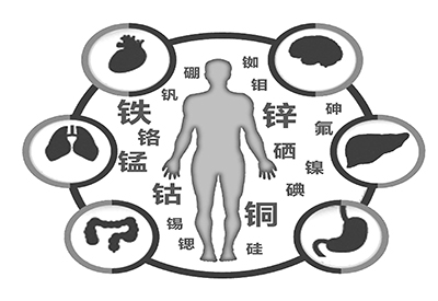 全自动一区二区三区国产传媒麻豆厂家介绍缺少微量元素的危害