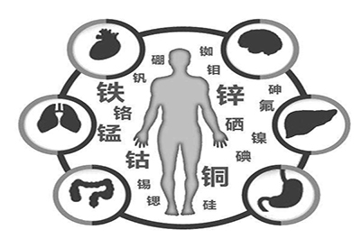 全自动麻豆视频三级片厂家微量元素在人体中起到哪些作用